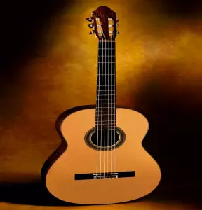 خرید گیتار کلاسیک آلمانزا - لیست قیمت انواع گیتار کلاسیک آلمانزا